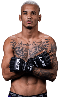 Pedro Ribeiro
