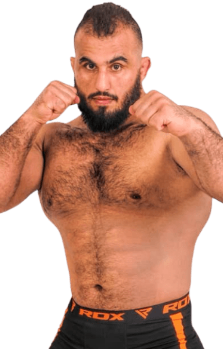 Seyedmostafa Salehizadeh