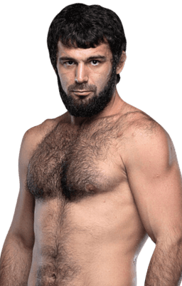 Shamil Erdogan
