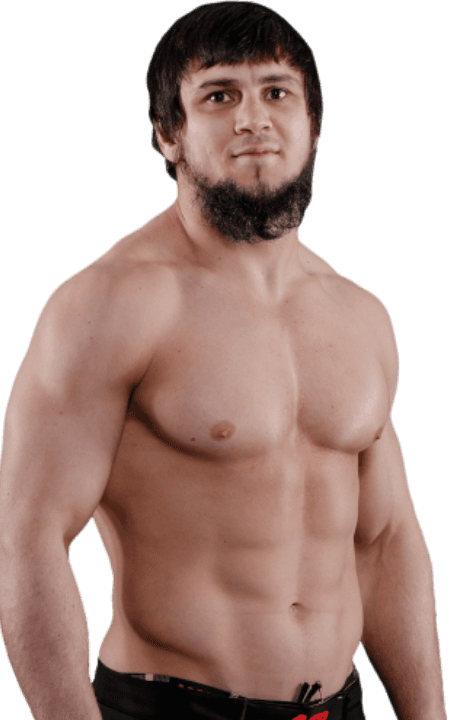 Ali Bagov