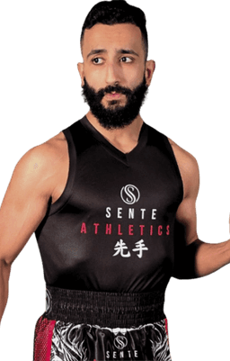 Sina Maani