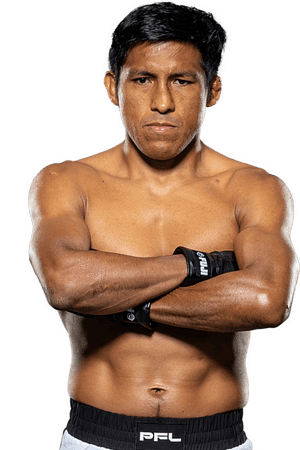 Enrique Barzola